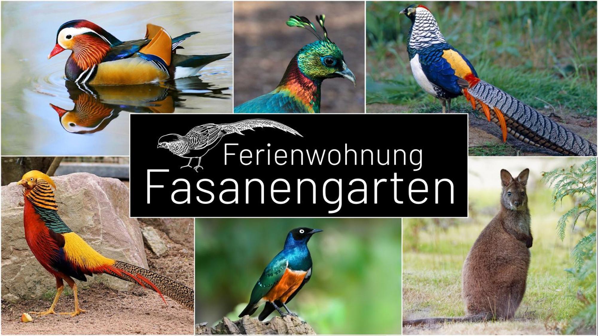 Fasanengarten In Traunreut Exteriér fotografie